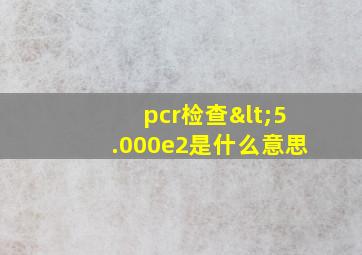 pcr检查<5.000e2是什么意思